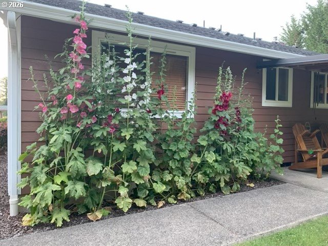 246 Walker Road Toledo, WA 98591 - Photo 12 of 39 Gallery Image 12