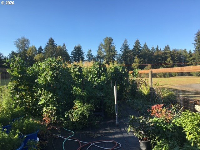 246 Walker Road Toledo, WA 98591 - Photo 7 of 39 Gallery Image 7