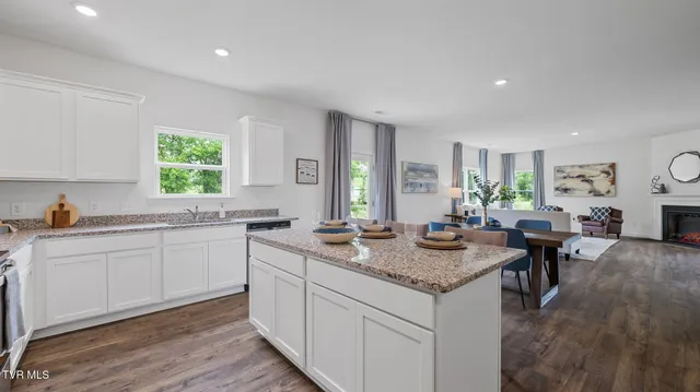 $413,915 | 995 Borage Drive, Bluff City, TN 37618