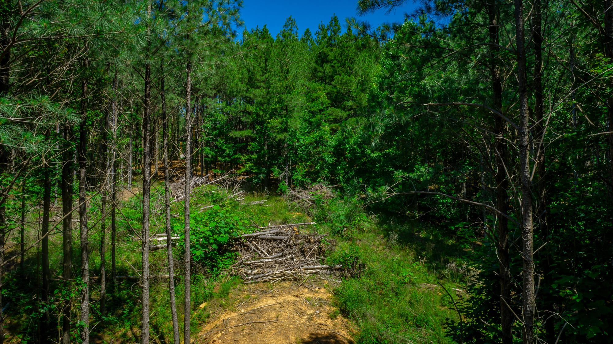 0 Split Rail Way, Unit LOT 1163 Guild, TN 37340 - Photo 62 of 118 River Gorge Lot 1163 HD-68