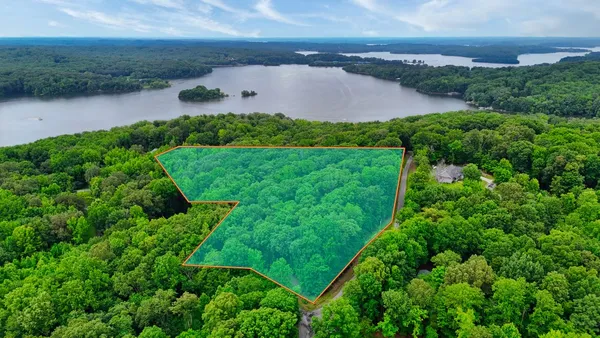 an aerial view of green landscape with trees houses and lake view