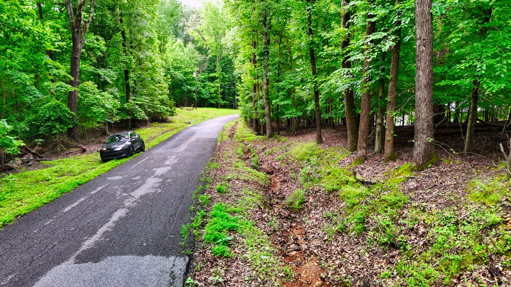 0 Wagon Wheel Road Cadiz, KY 42211 - Photo 14 of 22 a backyard of a house with lots of green space