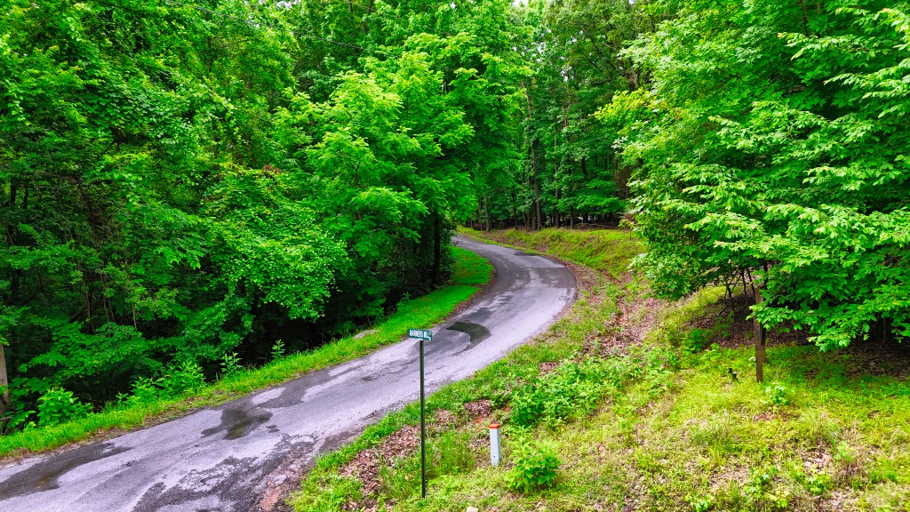 0 Wagon Wheel Road Cadiz, KY 42211 - Photo 19 of 22 a view of a yard with plants and large trees