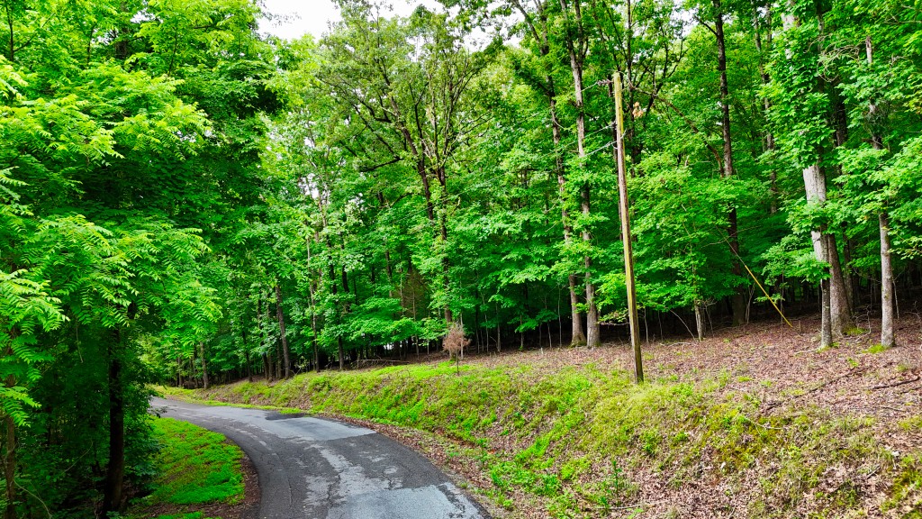 0 Wagon Wheel Road Cadiz, KY 42211 - Photo 20 of 22 a backyard of a house with plants and wooden fence