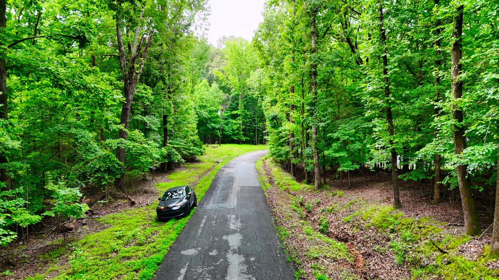0 Wagon Wheel Road Cadiz, KY 42211 - Photo 21 of 22 a view of a pathway both side of yard