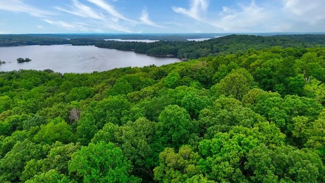 a view of a pathway both side of grassy field with shrub
