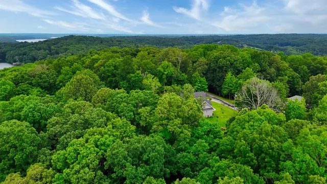 a view of a lush green space