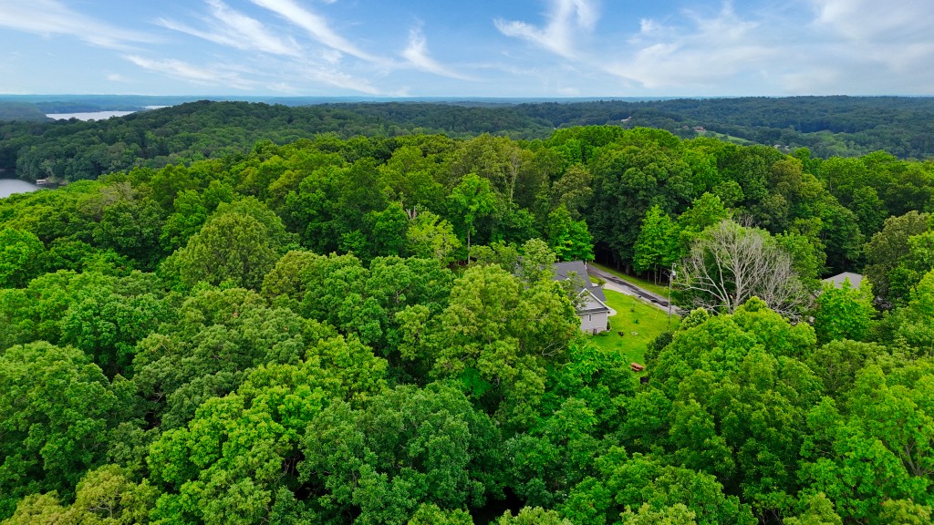 0 Wagon Wheel Road Cadiz, KY 42211 - Photo 4 of 22 a view of a lush green space