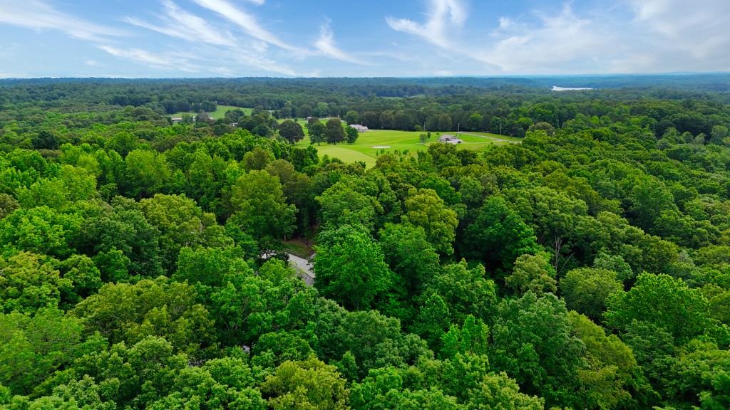 0 Wagon Wheel Road Cadiz, KY 42211 - Photo 5 of 22 a view of a green yard