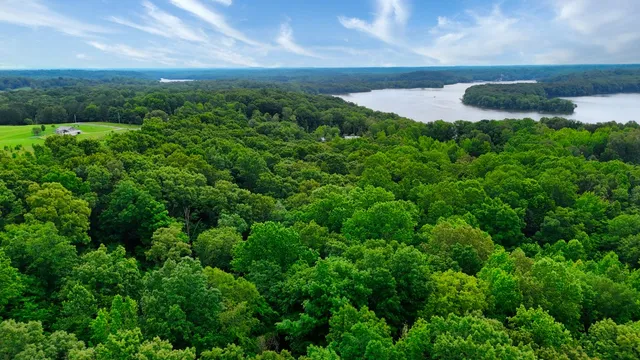 a view of a green yard