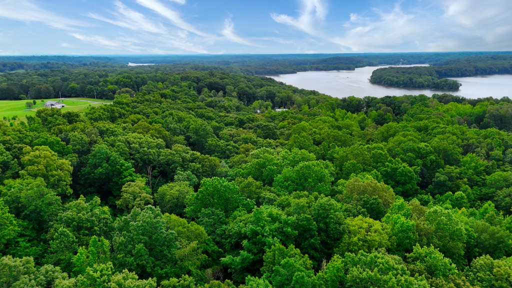 0 Wagon Wheel Road Cadiz, KY 42211 - Photo 6 of 22 a view of a green yard