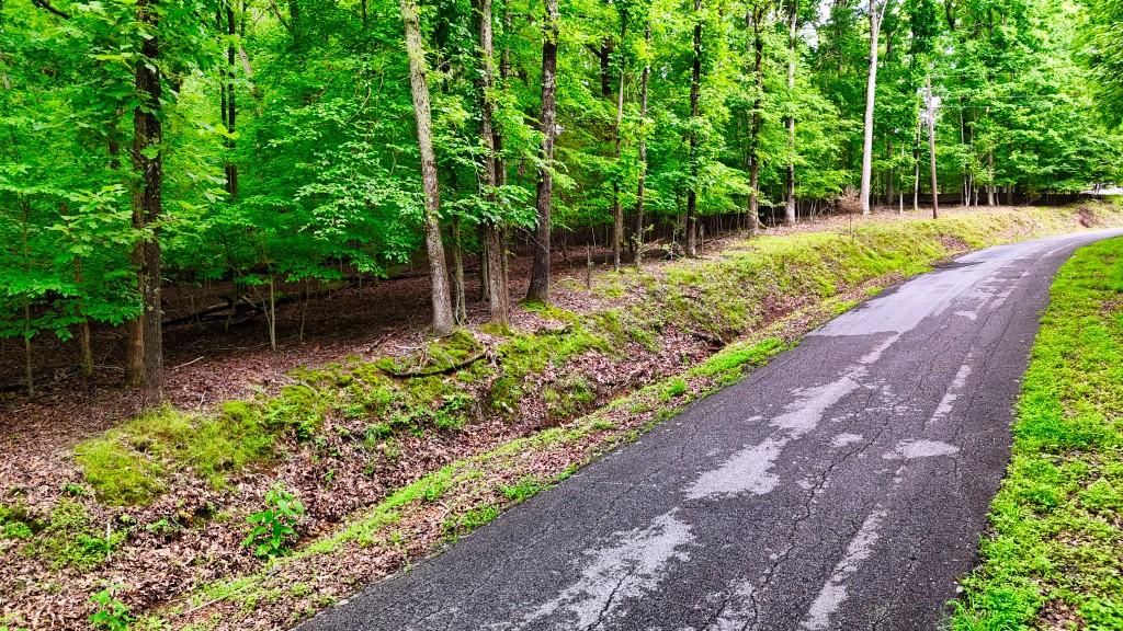 0 Wagon Wheel Road Cadiz, KY 42211 - Photo 7 of 22 a backyard of a house with lots of green space
