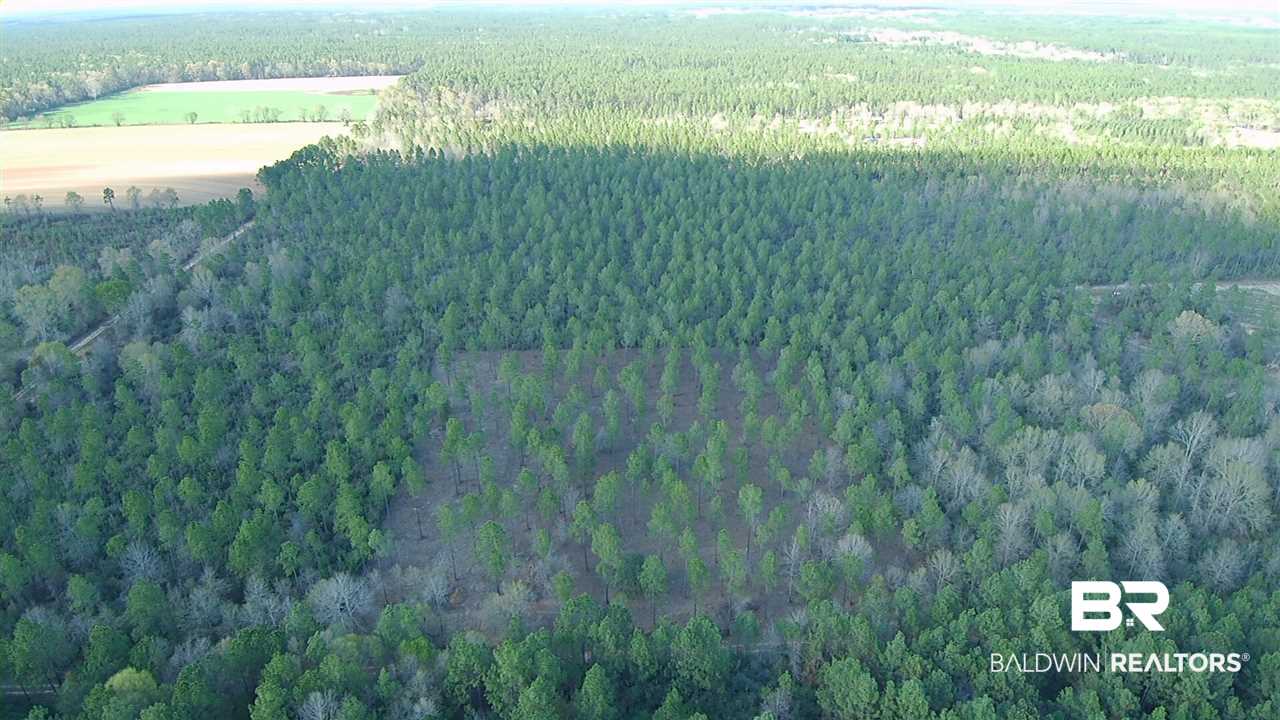 3 Red Cloud Road Baker, FL 32531 - Photo 4 of 14