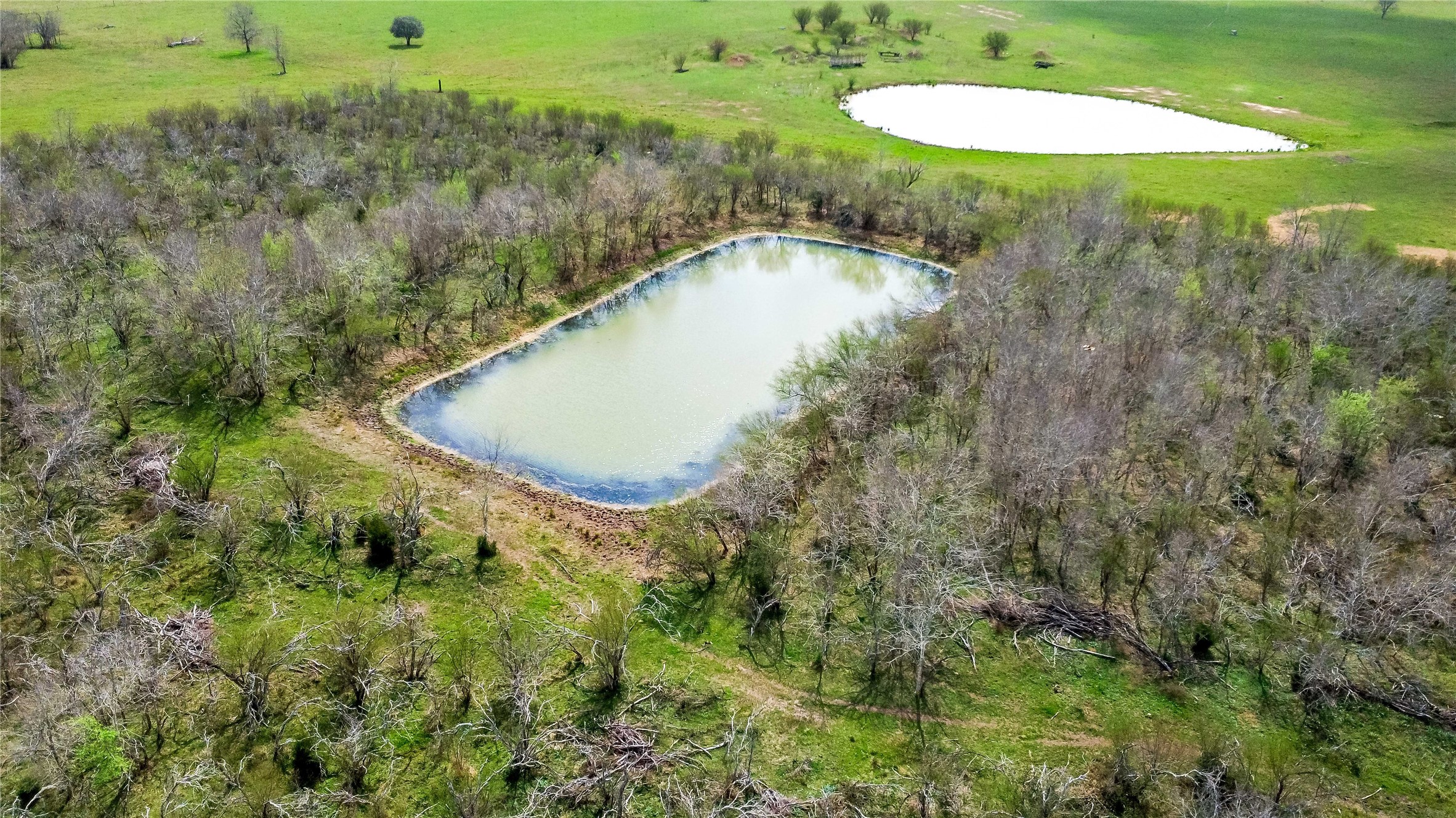 1226 South Farm To Market 331 Road Sealy, TX 77474 - Photo 11 of 12