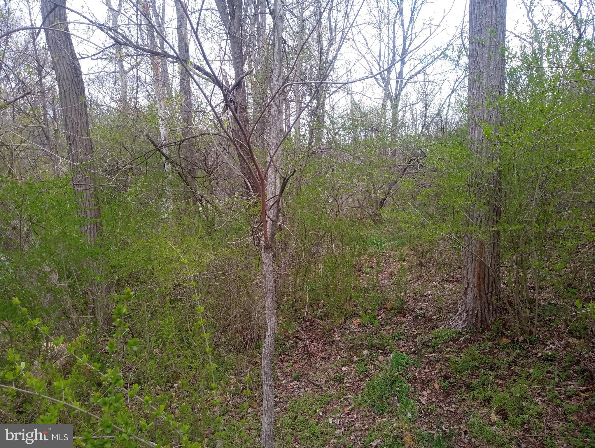 875 Krumsville Road Kutztown, PA 19530 - Photo 4 of 6