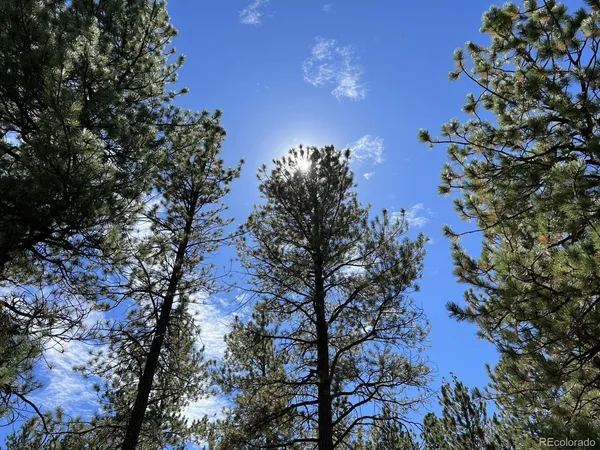 $82,000 | 82 Kiowa Circle, Westcliffe, CO 81252