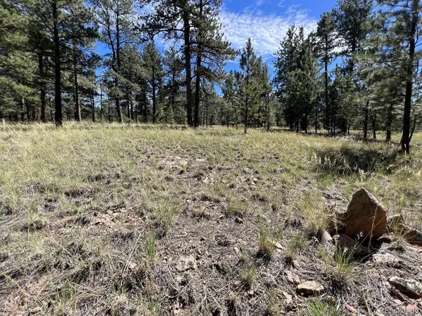 a view of covered with snow