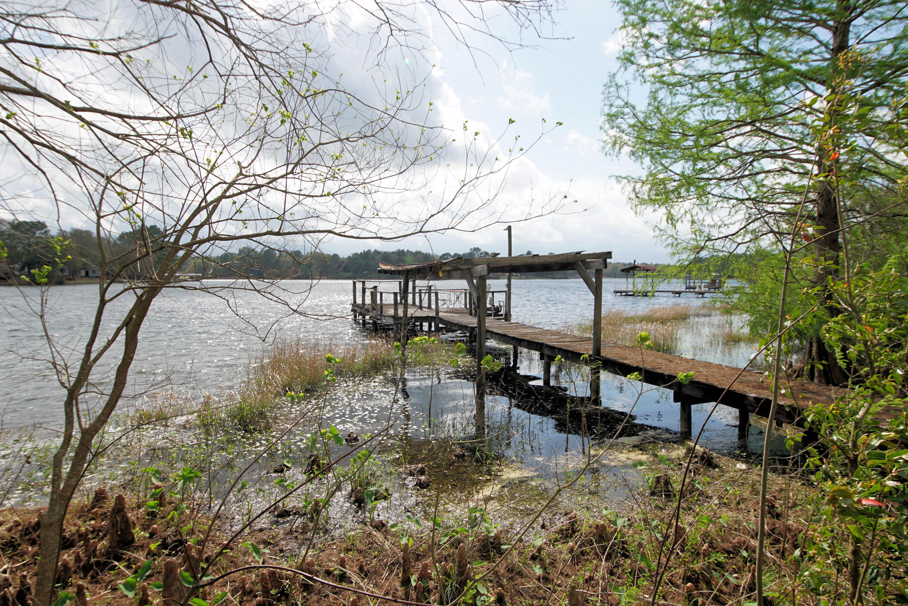 253 Vanderheide Road DeFuniak Springs, FL 32433 - Photo 4 of 63 253 Vanderheide Rd_Dock