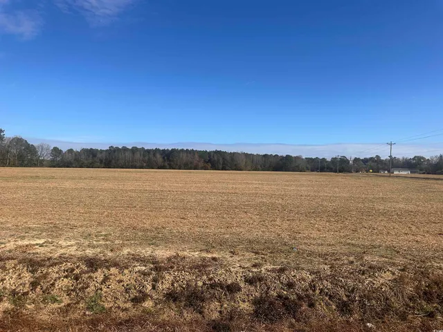 $69,900 | Southeast Elvington Road, Nichols, SC 29581