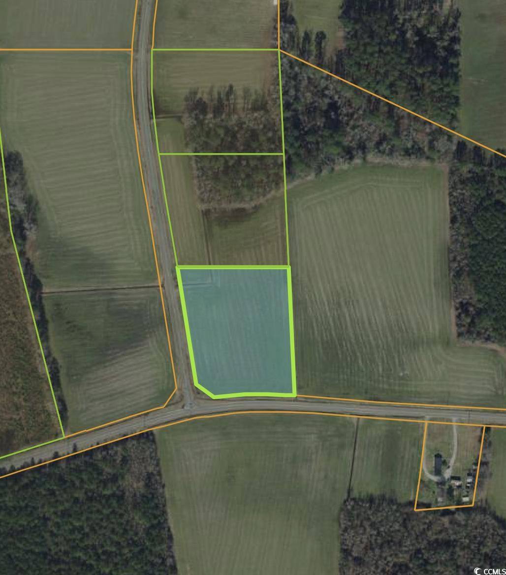 Southeast Elvington Road Nichols, SC 29581 - Photo 2 of 2