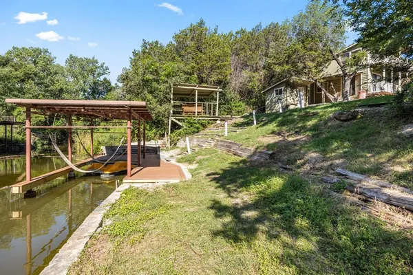 a view of a backyard with plants and large trees