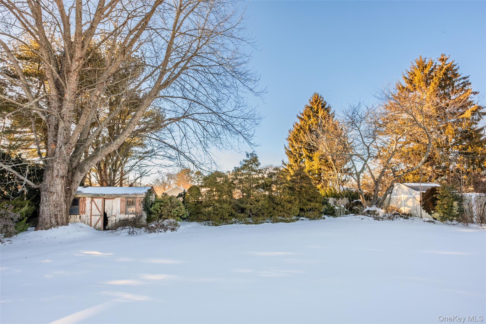 18 Woodbrook Drive Ridge, NY 11961 - Photo 33 of 33 a view of a town with large trees