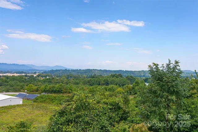 a view of a city with lush green forest