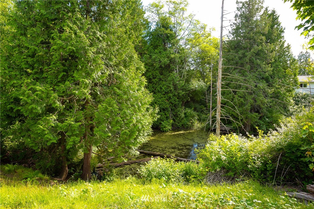 8201 Chilliwack Road Birch Bay, WA 98230 - Photo 9 of 40 Gallery Image 9