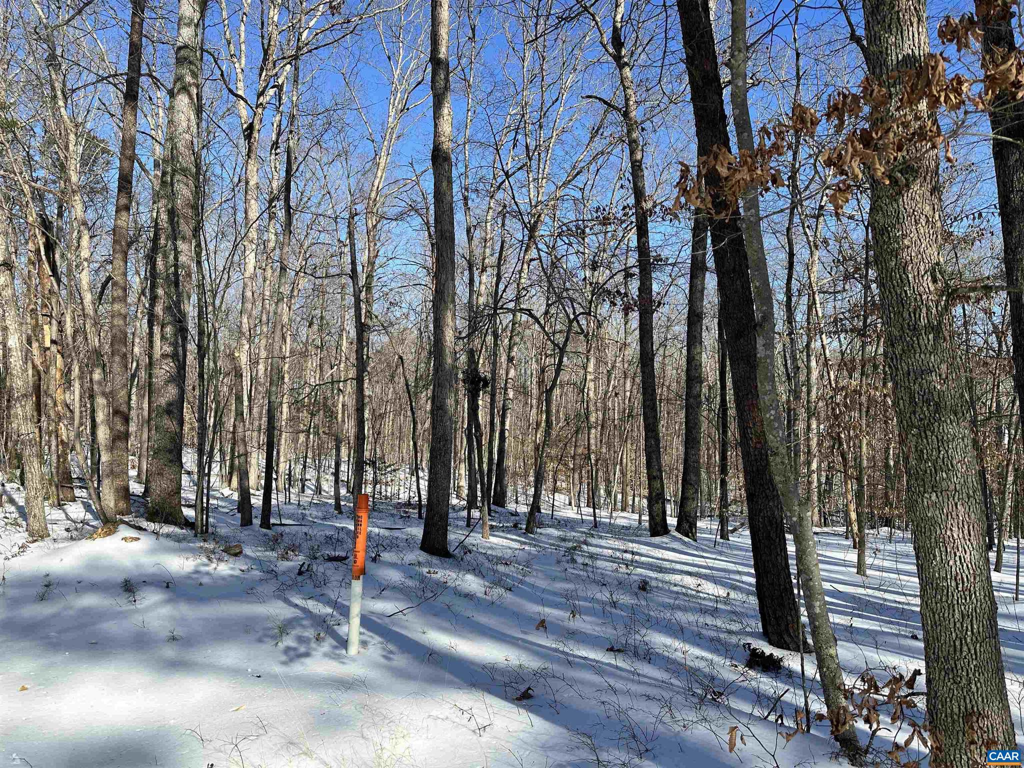 2 Beaverdam Road, Unit 2 Keswick, VA 22947 - Photo 1 of 7 a backyard of a house with lots of green space