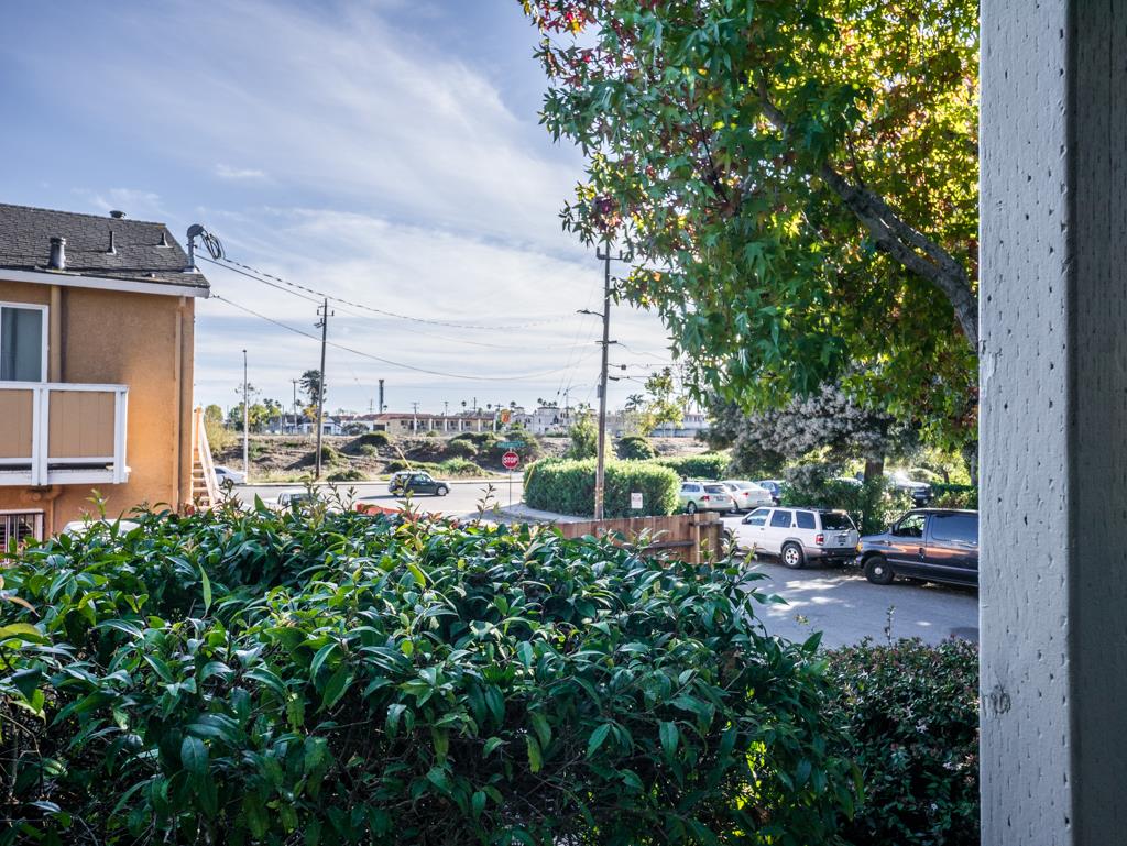 112 Canfield Avenue Santa Cruz, CA 95060 - Photo 16 of 31 Gallery Image 16