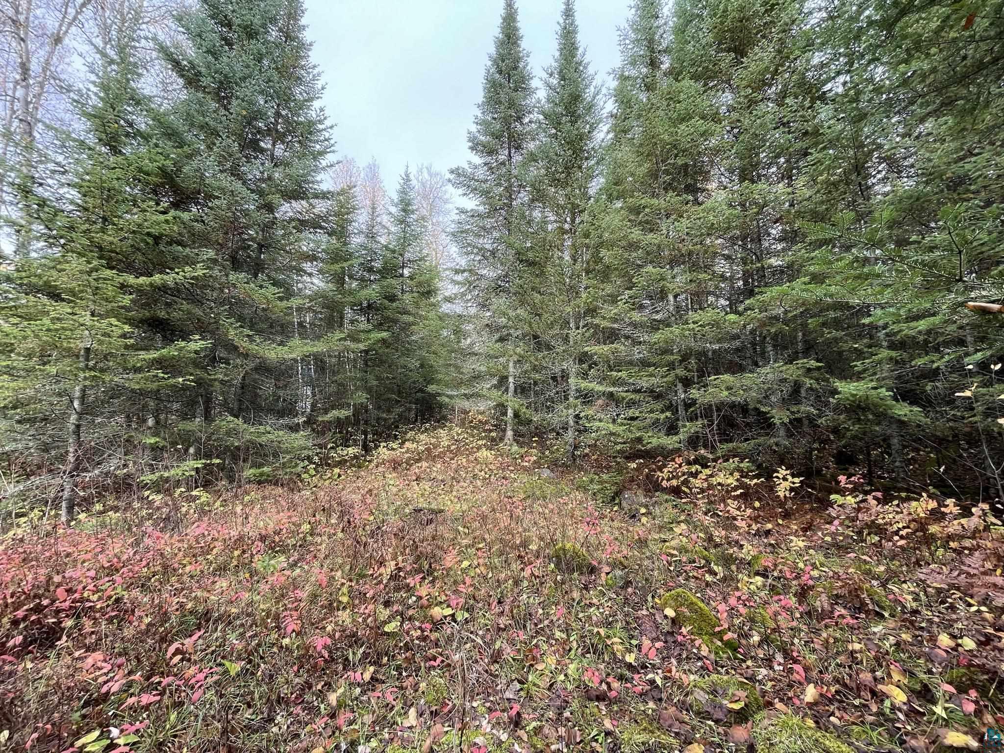 41 Romans Road Grand Marais, MN 55604 - Photo 1 of 4 Gallery Image 1