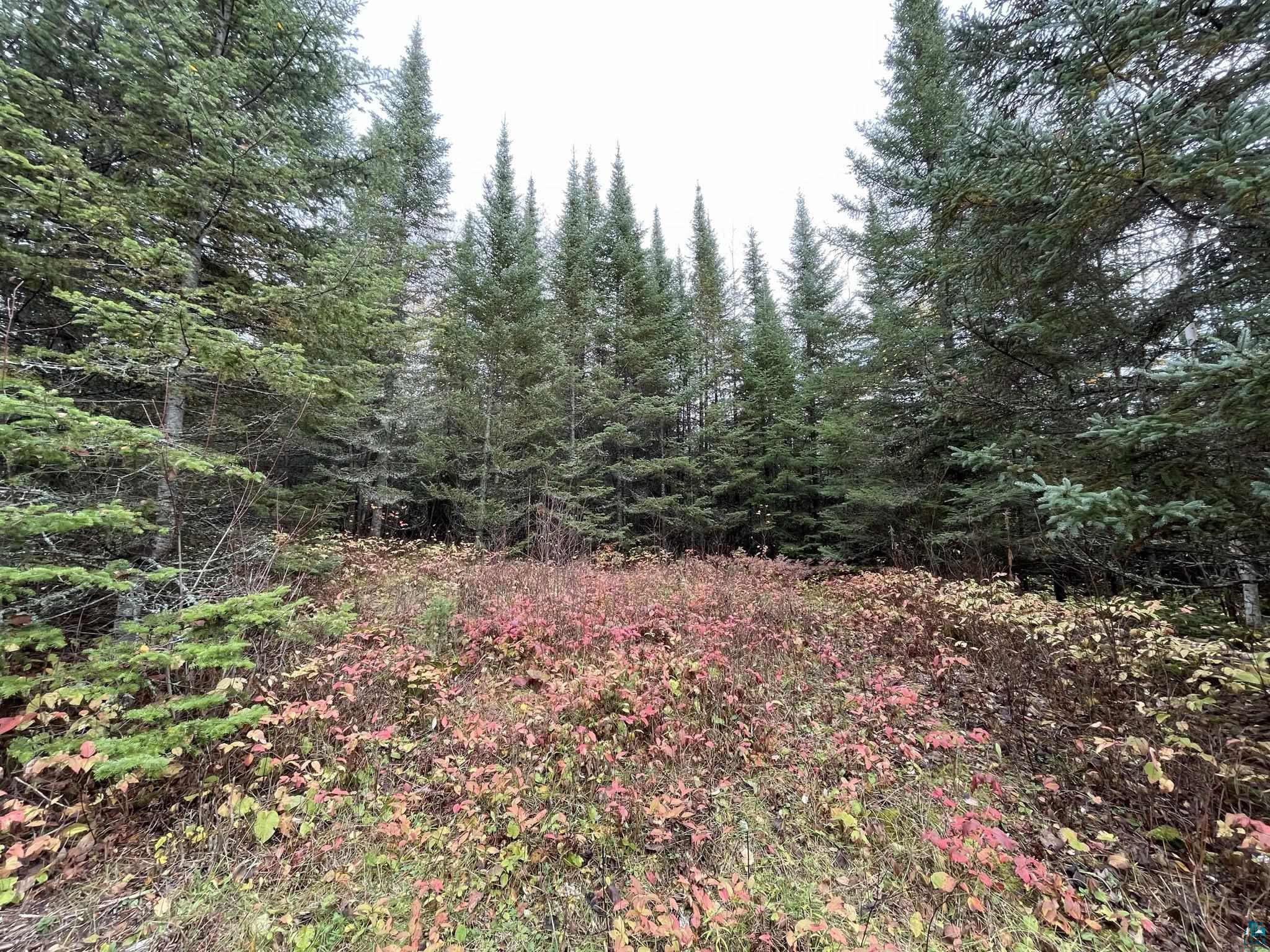 41 Romans Road Grand Marais, MN 55604 - Photo 2 of 4 Gallery Image 2