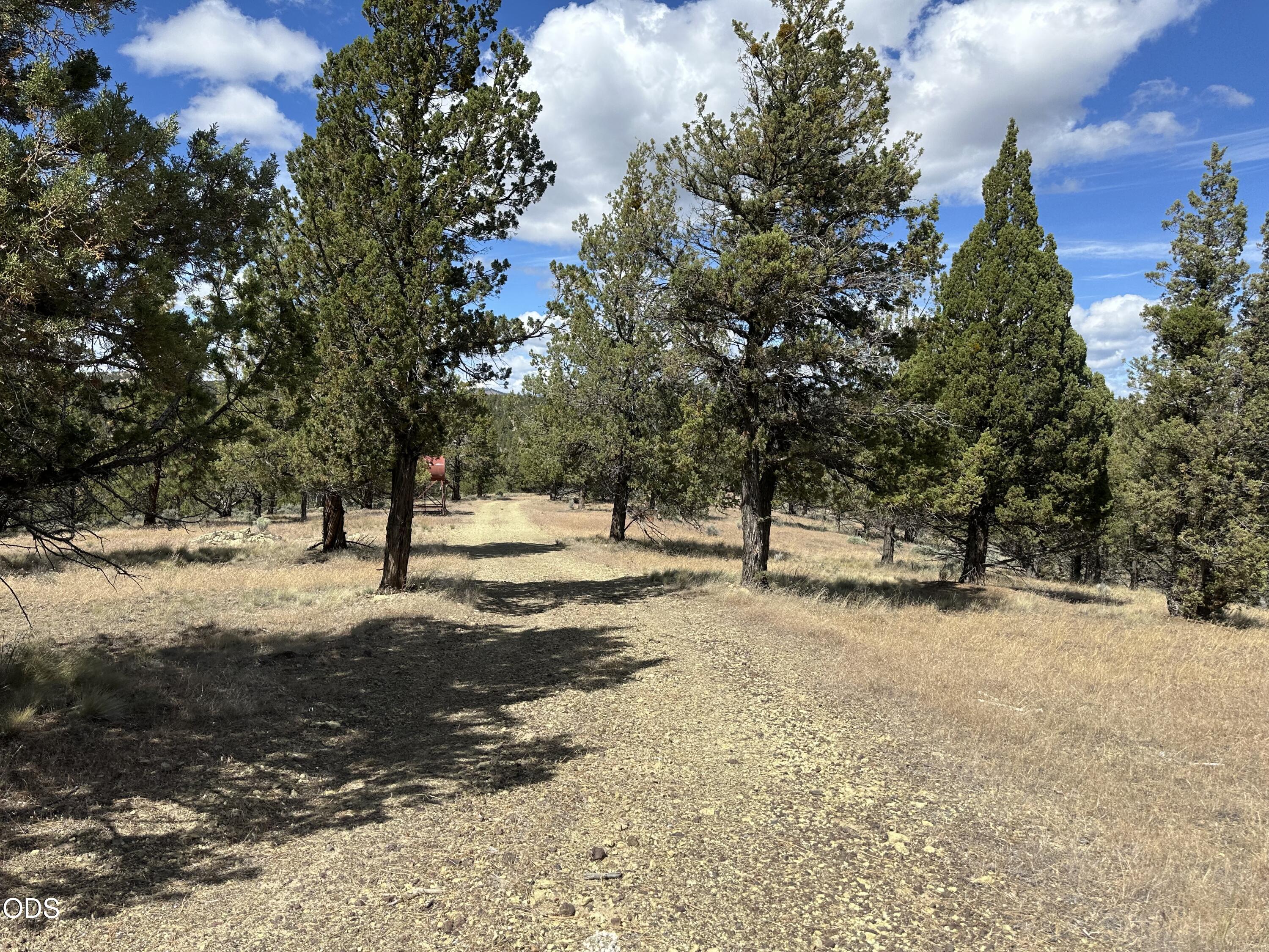 4705 Wittmer Road Prineville, OR 97754 - Photo 29 of 45
