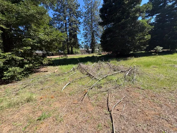 a view of a large yard