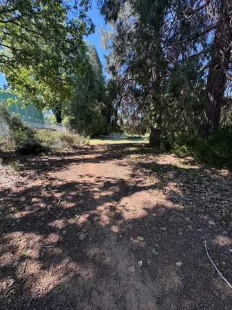 a view of a yard with plants and trees