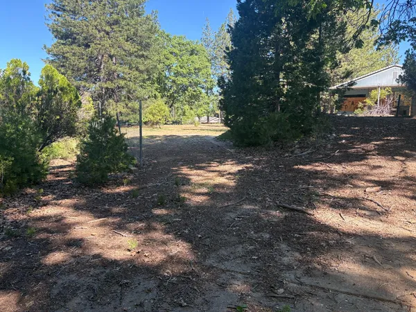 a view of a backyard of the house
