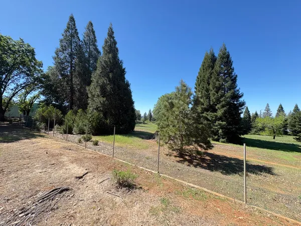 a view of backyard with green space