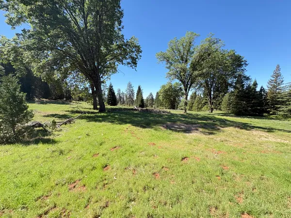 a big yard with lots of green space
