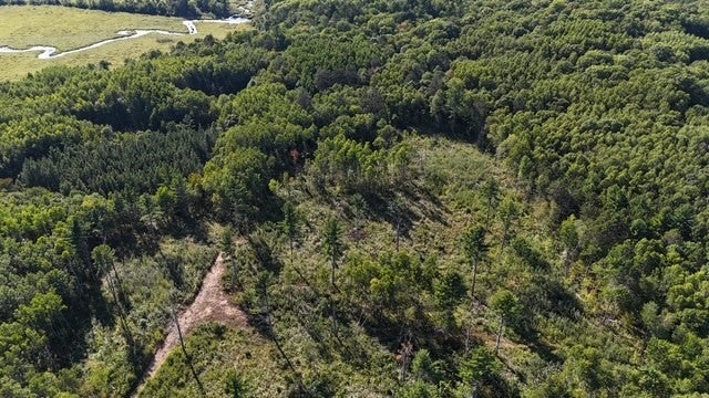 0 Mack Lake Road Trego, WI 54888 - Photo 18 of 26 Gallery Image 18