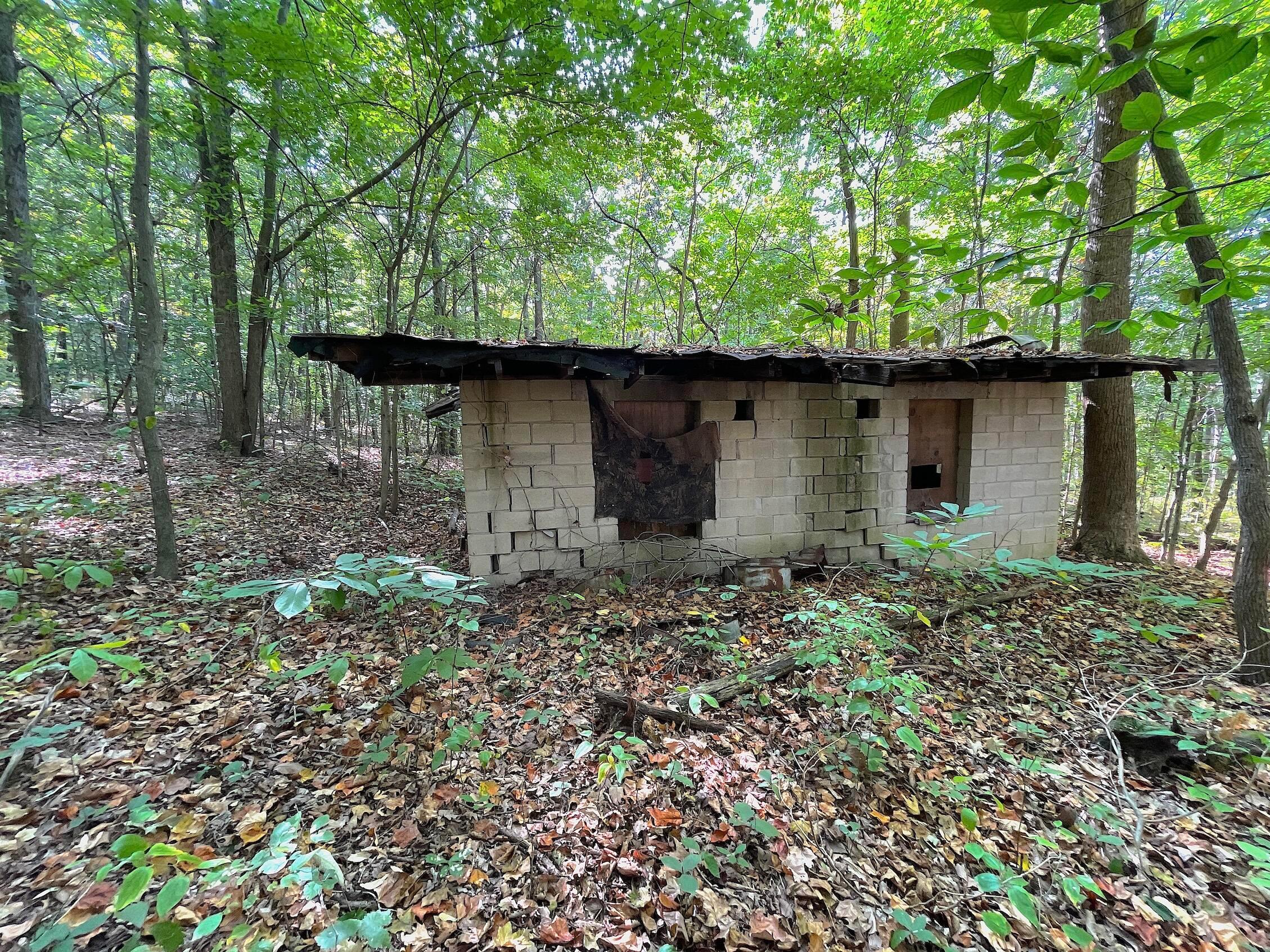 0 Porter Run Road Frankfort, OH 45628 - Photo 7 of 51 IMG_3204