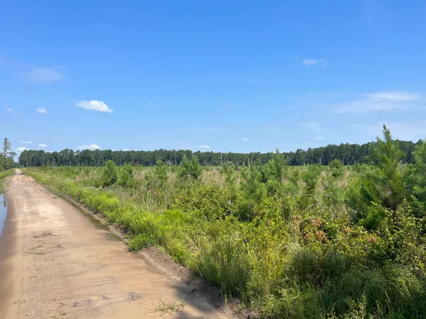 $215,000 | 0 Mahogany Lane, Orangeburg, SC 29115