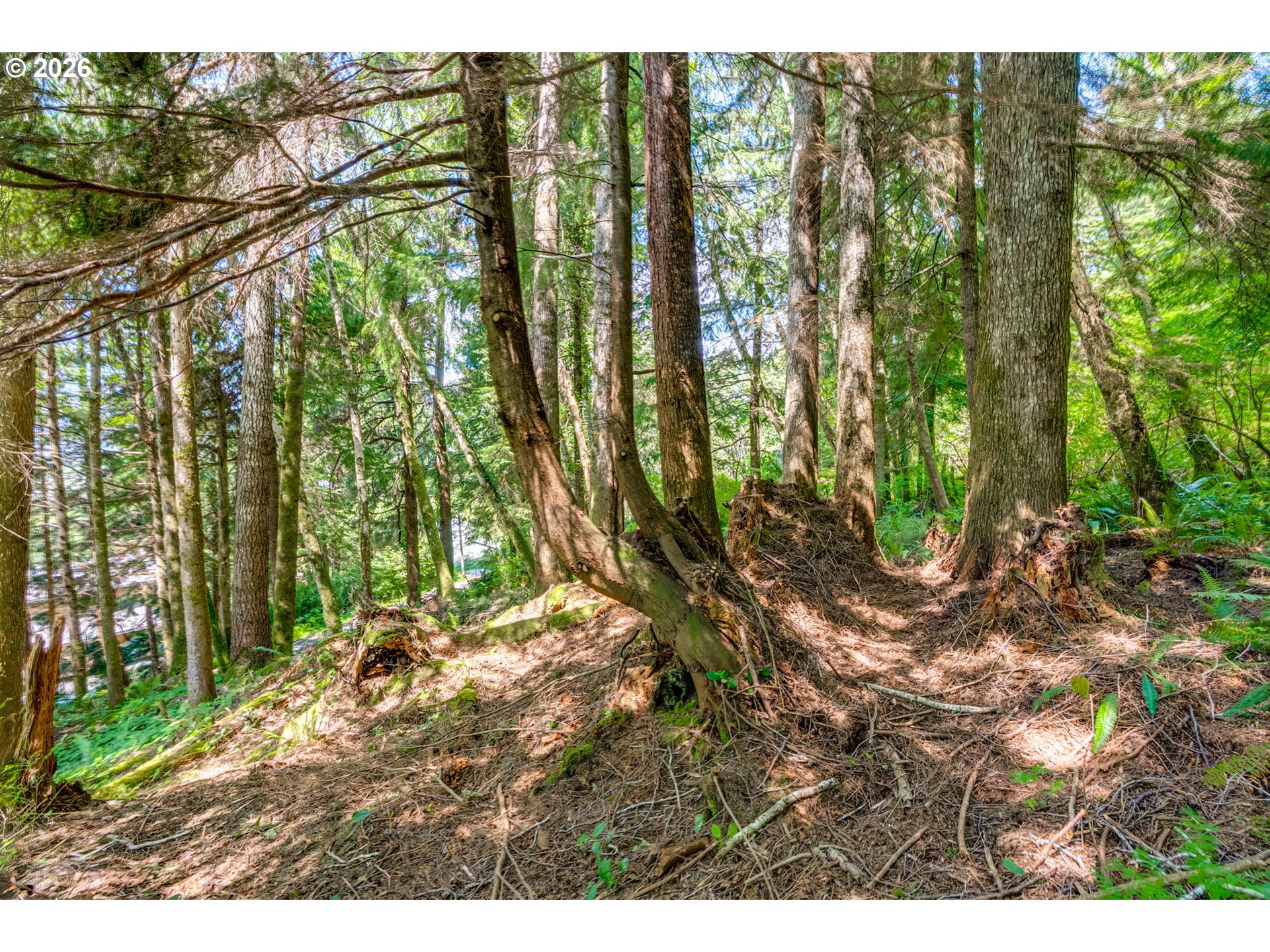 9 Block Nehalem, OR 97131 - Photo 36 of 36