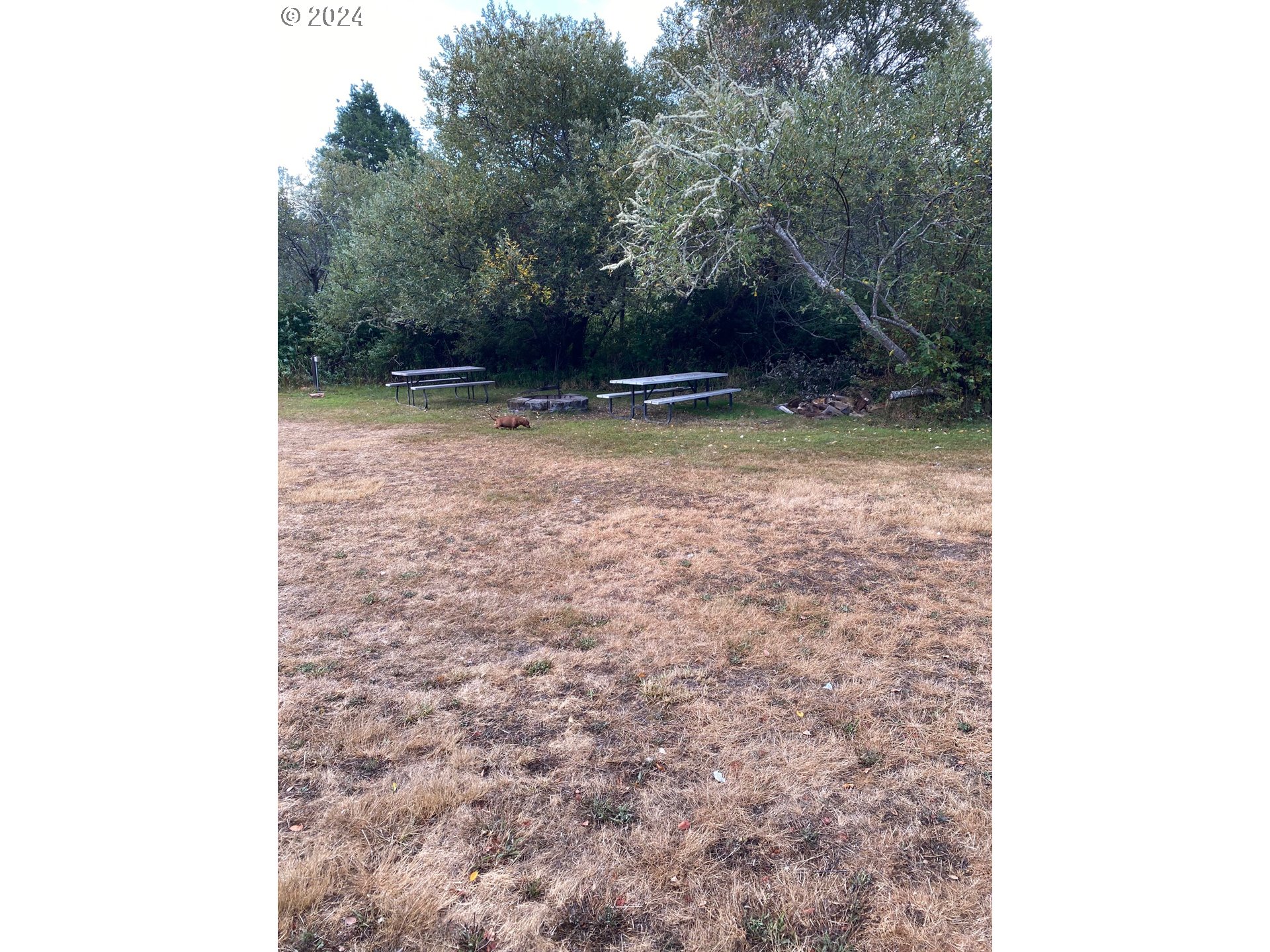 165 South 3rd Street Lakeside, OR 97449 - Photo 13 of 21 Gallery Image 13