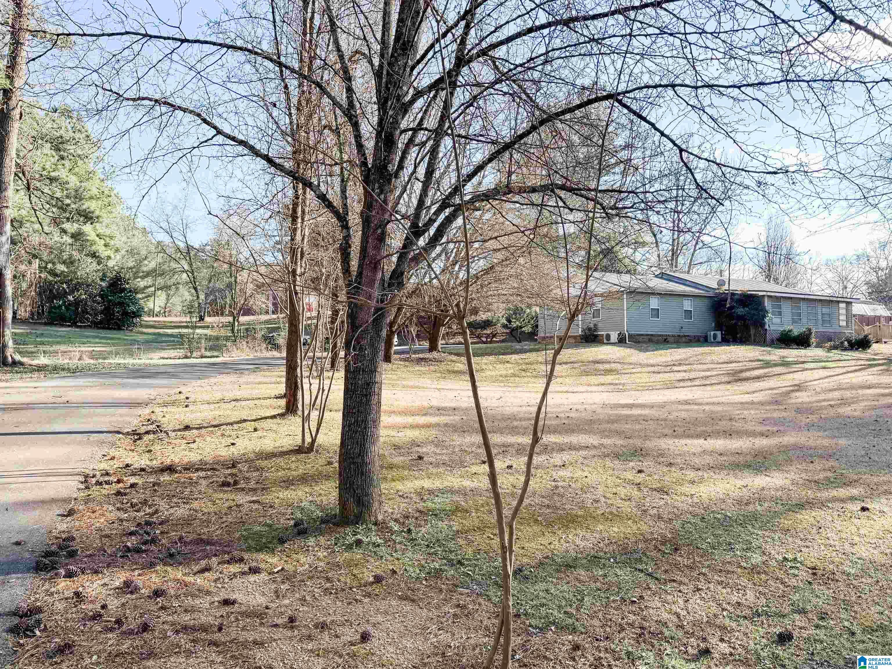 1978 Warrior Jasper Road Warrior, AL 35180 - Photo 23 of 99
