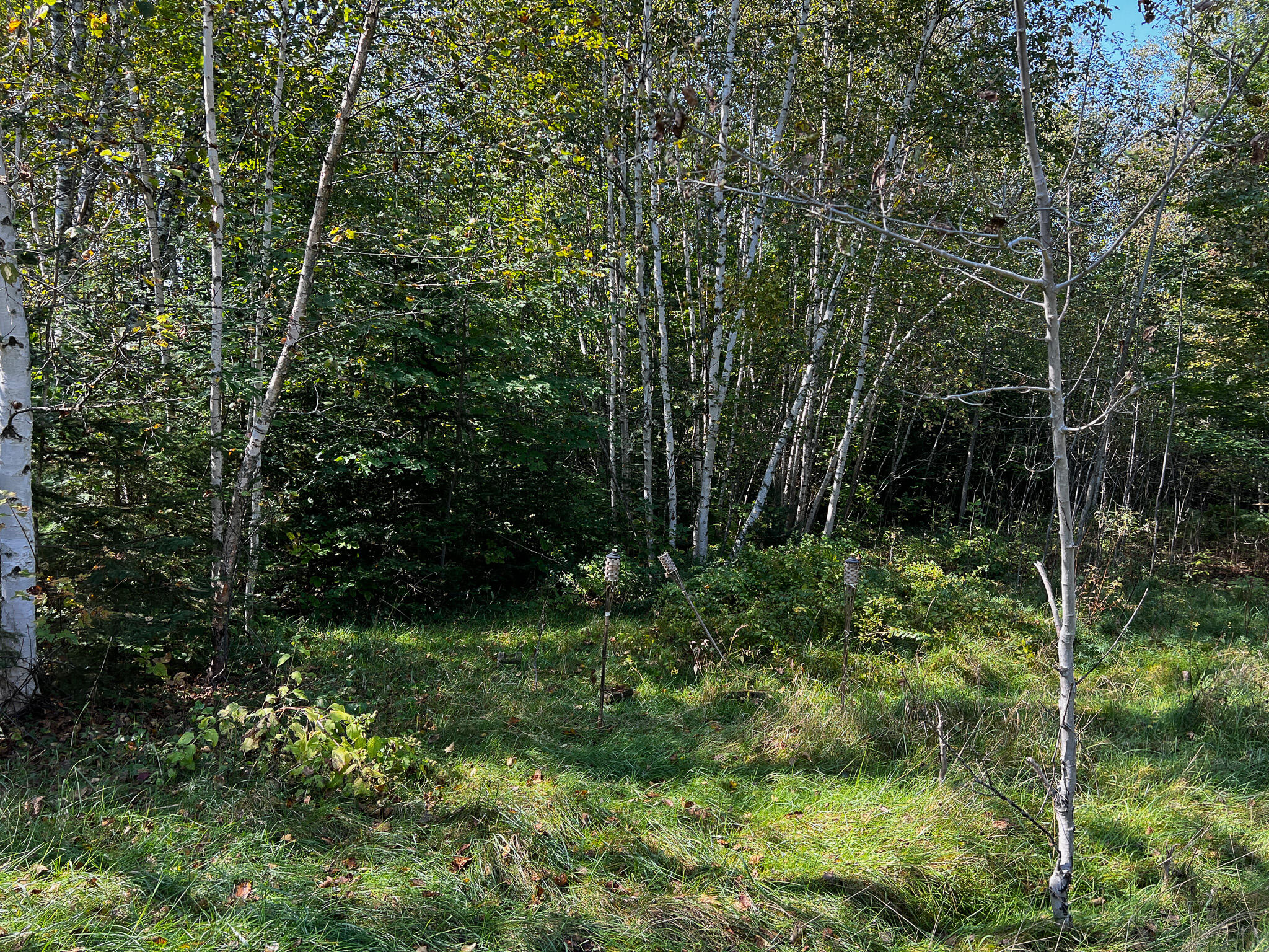 170 Kingman Road Kingman, ME 04451 - Photo 13 of 21 IMG_1115