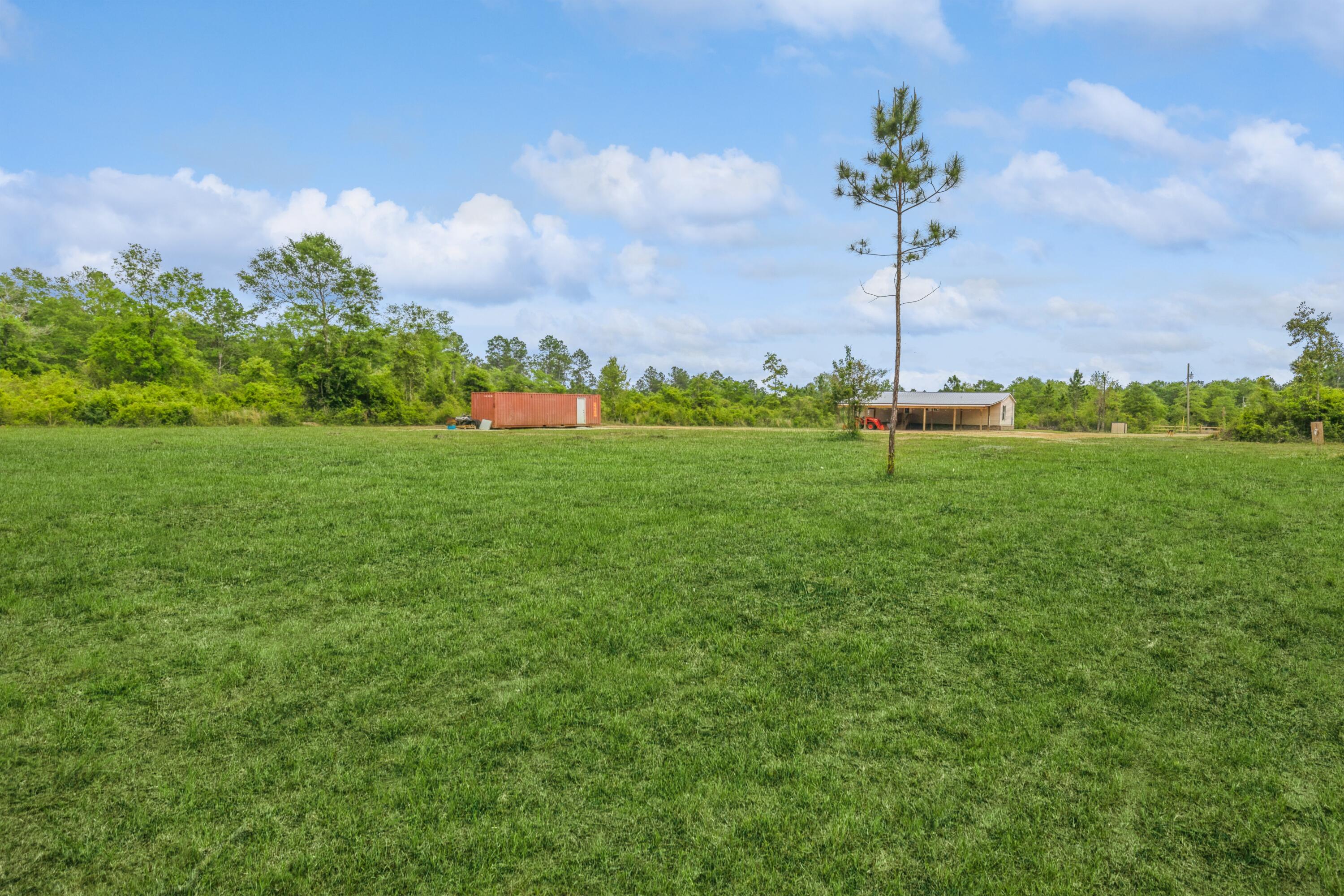 12692 Red Cloud Road Baker, FL 32531 - Photo 33 of 35 Back yard