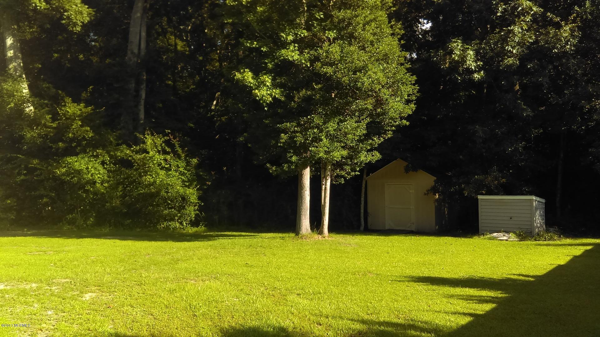 289 Double Eagle Road Burgaw, NC 28425 - Photo 21 of 23 21 back_yard