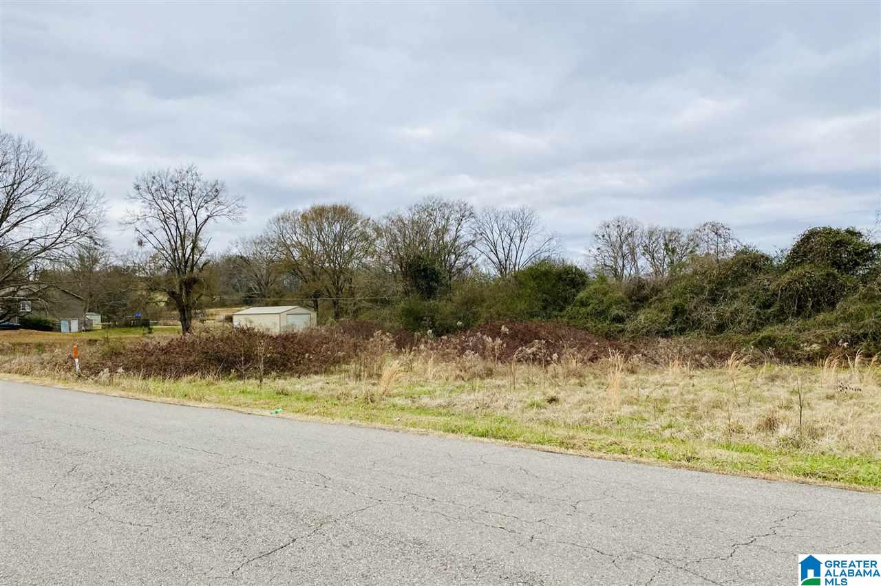 650 Peaceful Valley Road, Unit 98 AC Eastaboga, AL 36260 - Photo 7 of 10