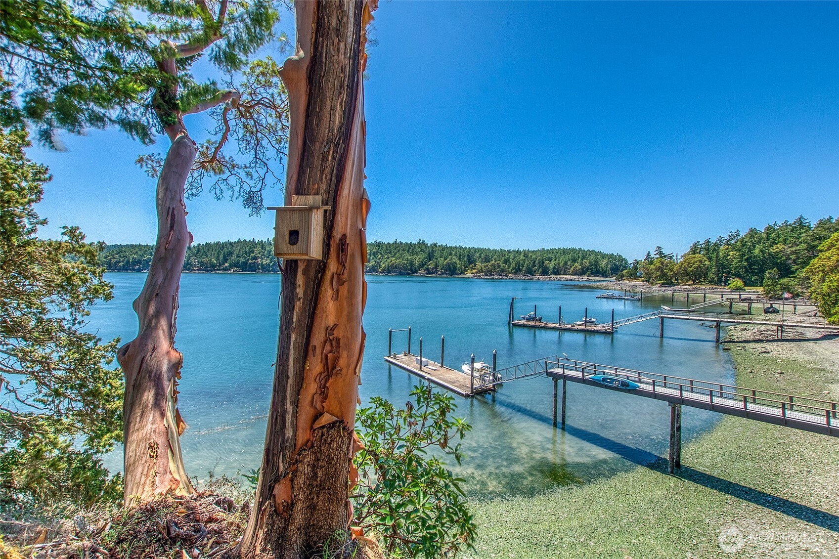 6998 Deer Harbor Road Orcas Island, WA 98243 - Photo 16 of 40