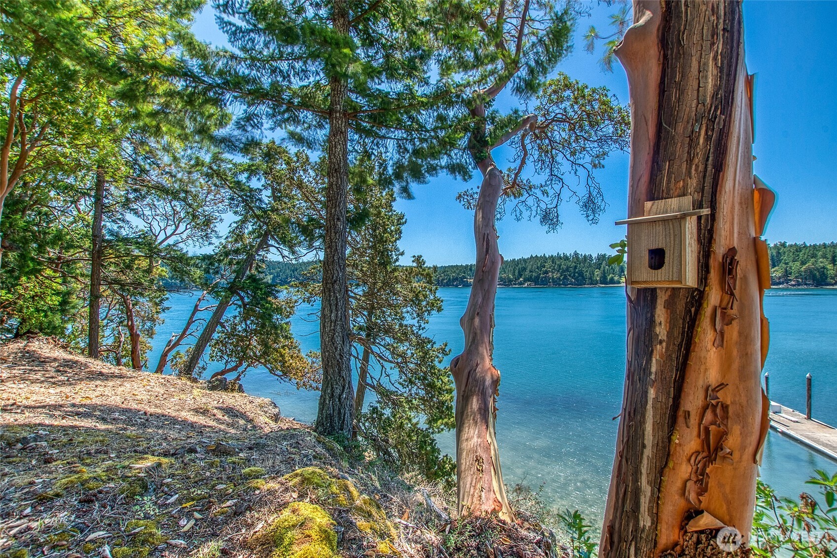 6998 Deer Harbor Road Orcas Island, WA 98243 - Photo 34 of 40